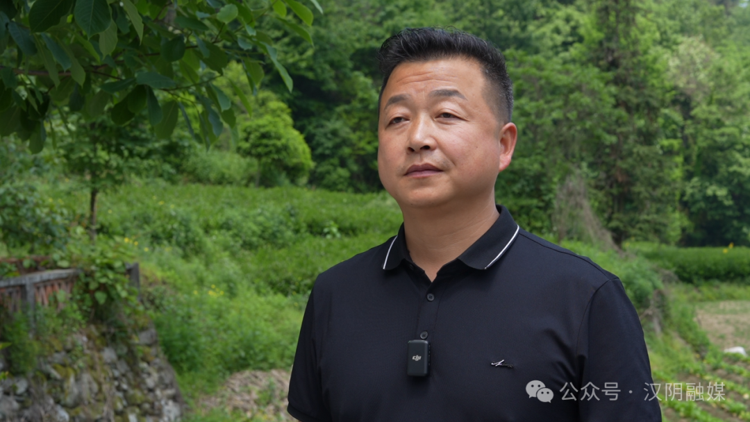 汉阴哪里有富硒茶卖的啊(汉阴富硒茶介绍)-硒宝网