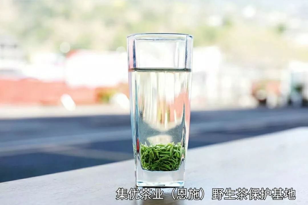 富硒茶蒸青好还是炒青好(茶叶蒸青和炒青的区别)-硒宝网