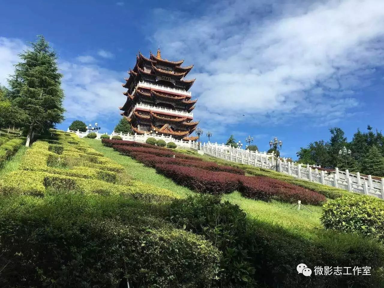 汉阴哪里有富硒茶卖的?。ú杪舾晃阂跤新袈穑?硒宝网