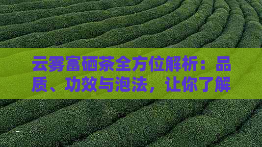 云雾富硒茶全方位解析：品质、功效与泡法，让你了解这种独特茶叶的各个方面