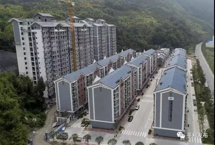平利富硒茶一亩地产多少