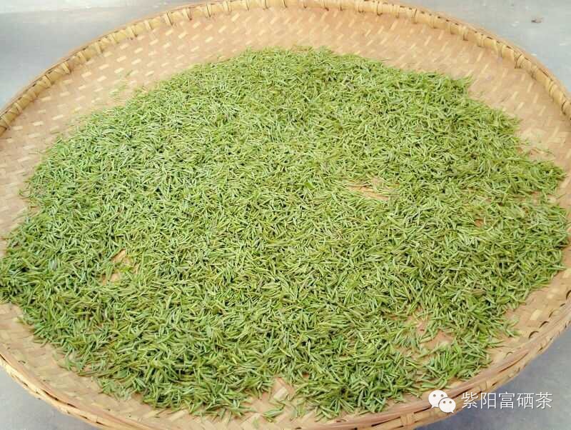 紫阳富硒茶效果如何样?。ㄗ涎舨韪晃瑁?硒宝网