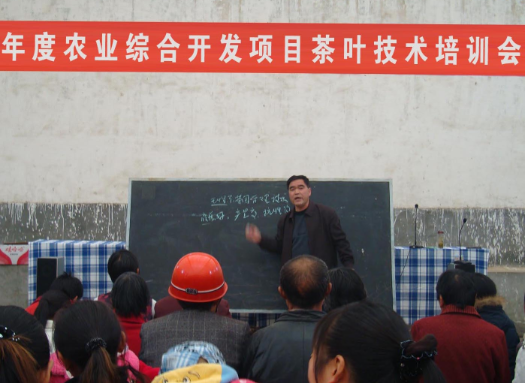 西安茶叶批发市场富硒茶(西安市茶叶批发基地)-硒宝网