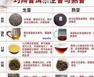 新 普洱茶的分类及其与红茶的区别：一种全面的视角