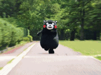 仙寓山富硒野生茶多少钱