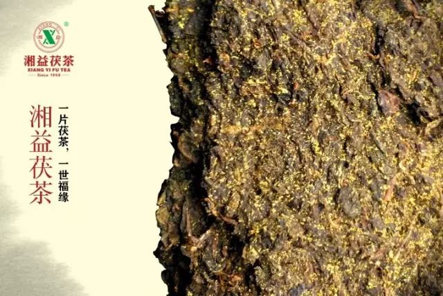 湖南黑茶是一种天然富硒