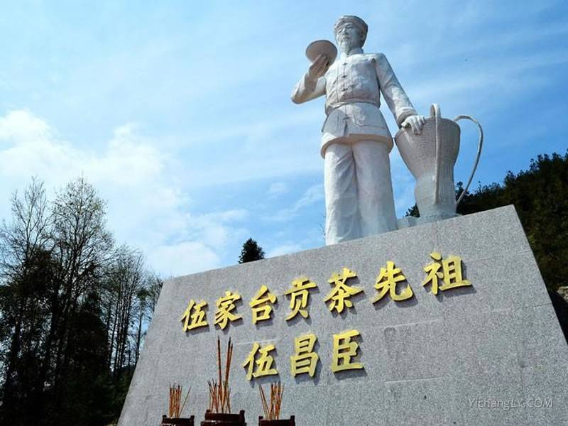 伍家台贡茶首垦者——伍昌臣