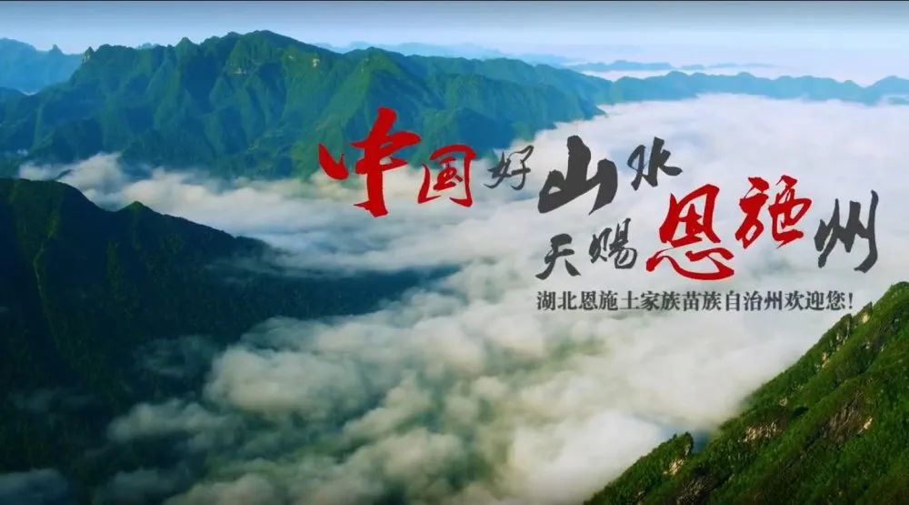大峡谷富硒茶价格多少钱