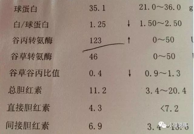 富硒茶冲泡多少次比较好(富硒茶和普通茶的区别)-硒宝网
