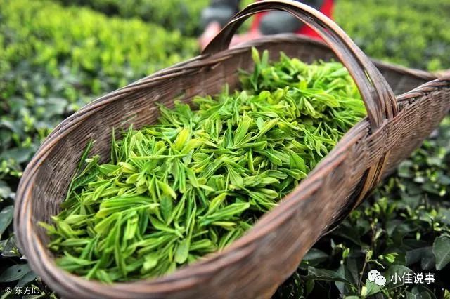 富硒茶冲泡多少次比较好(富硒茶和普通茶的区别)-硒宝网