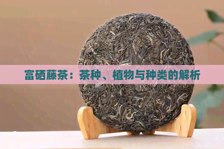 富硒藤茶：茶种、植物与种类的解析