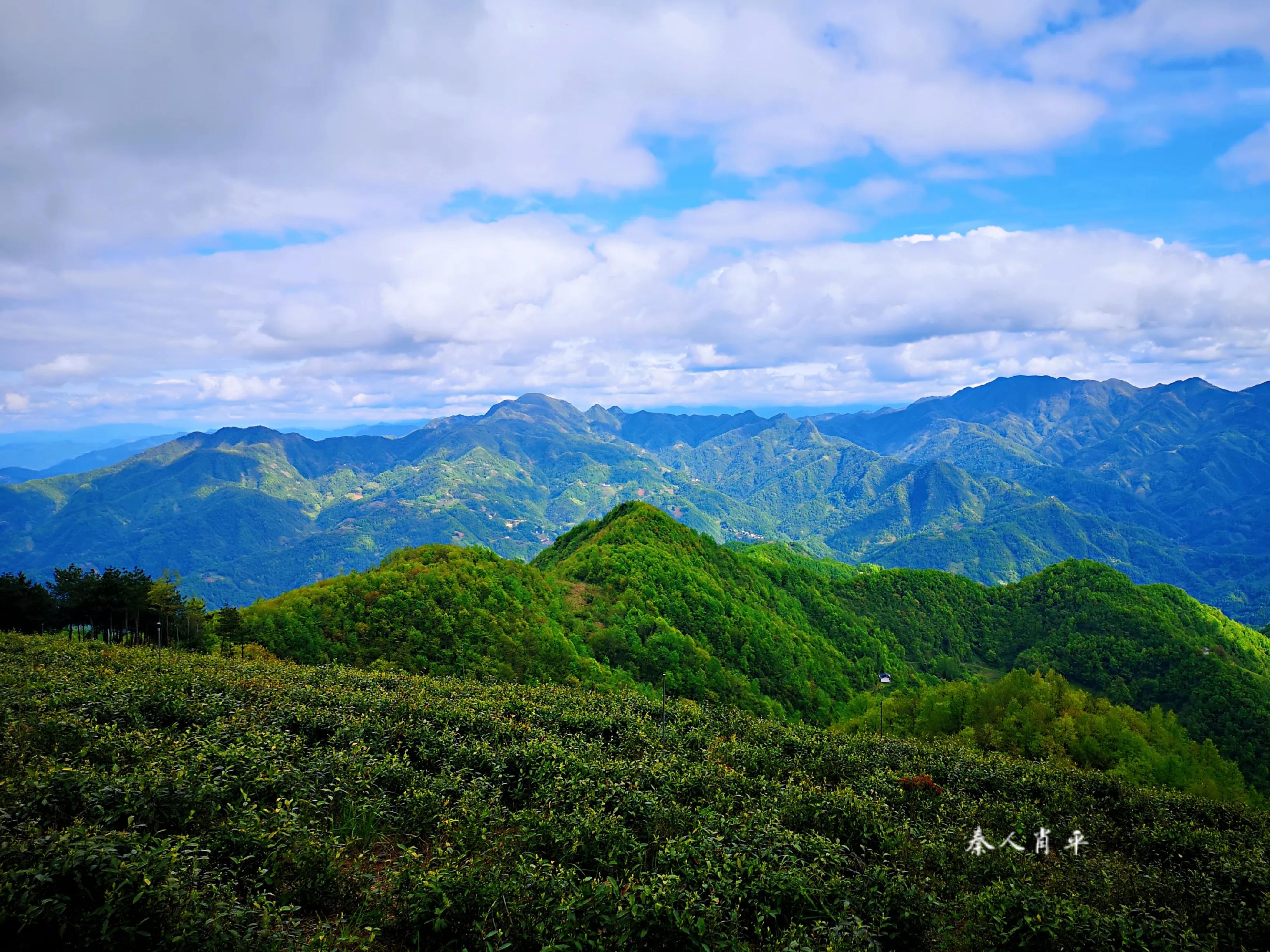 全国三大富硒茶区是哪里