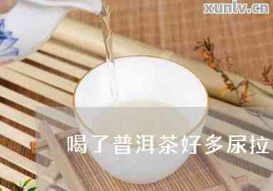 为何喝了普洱茶总是尿多？求解起因！