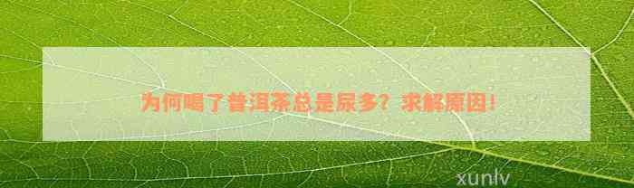 为何喝了普洱茶总是尿多？求解起因！