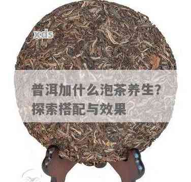 普洱茶与什么一起泡养生？探索搭配方法！