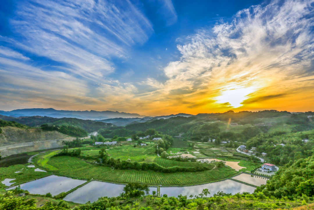 巴东野三关是富硒茶区吗