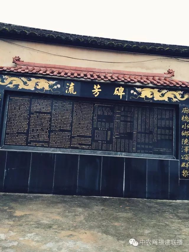 四大富硒茶乡是哪里产的