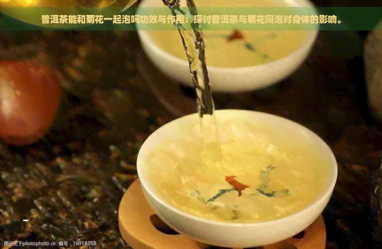 普洱茶能和菊花一起泡吗功效与作用：探讨普洱茶与菊花同泡对身体的影响。