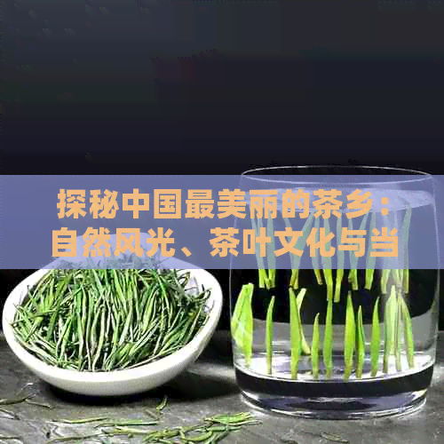 四大富硒茶乡是哪四个省(富硒茶庄)-硒宝网