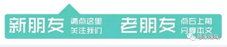 富硒茶哪里的好喝一点儿