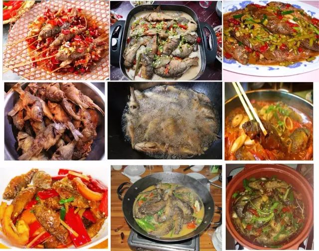 富硒大米什么时候开始吃