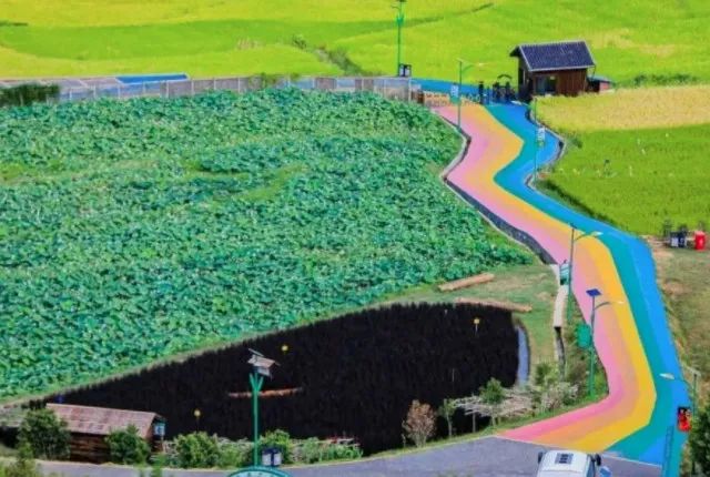 江西富硒大米基地有哪些