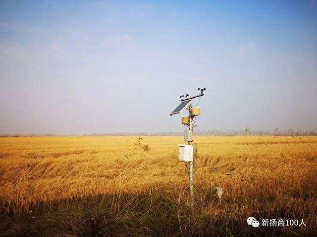 老徐会客厅——党明辉：天赐黑土“硒都”，地孕健康“硒米”
