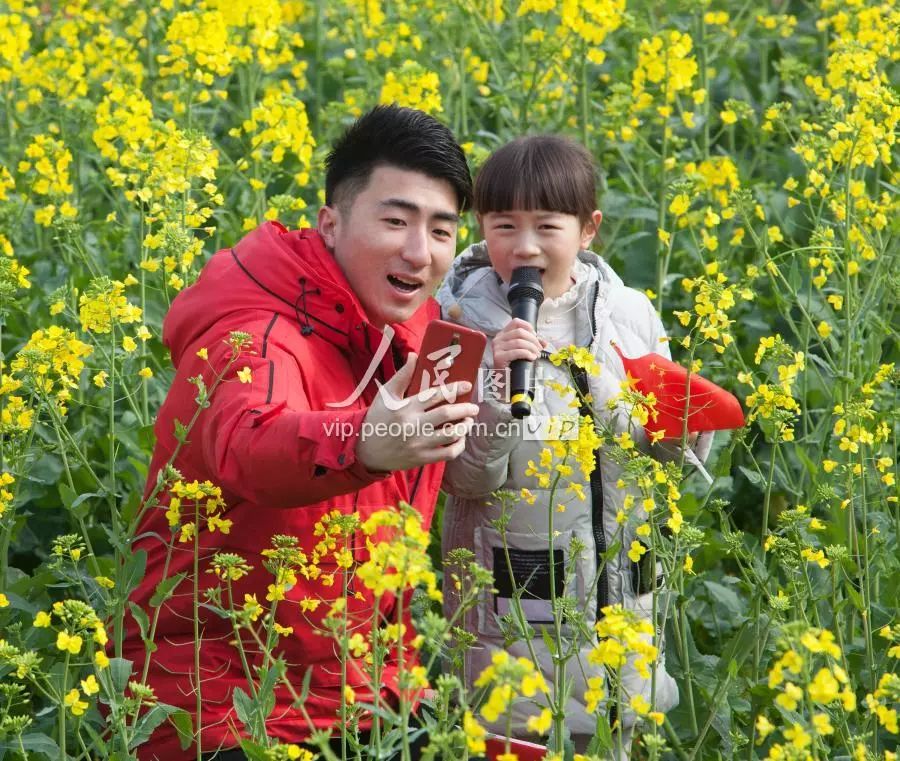 富硒大米主要产地在哪里