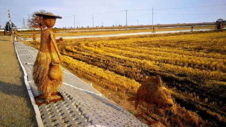 江西富硒大米之乡在哪里