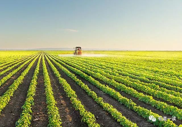 南京富硒大米产地的战略(南京大米加工企业)-硒宝网