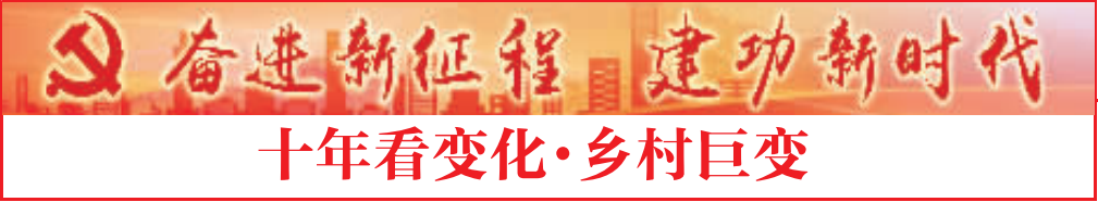 南京富硒大米产地的战略(南京大米市?。?硒宝网
