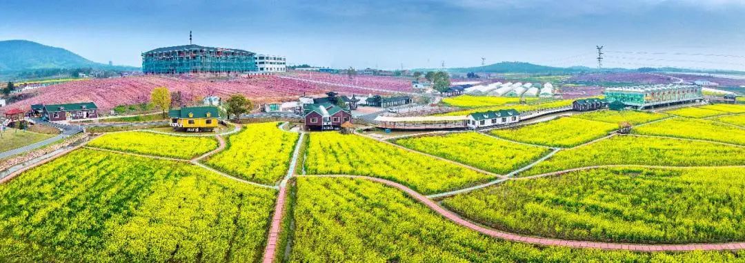 南京富硒大米产地的战略(南京大米市场)-硒宝网