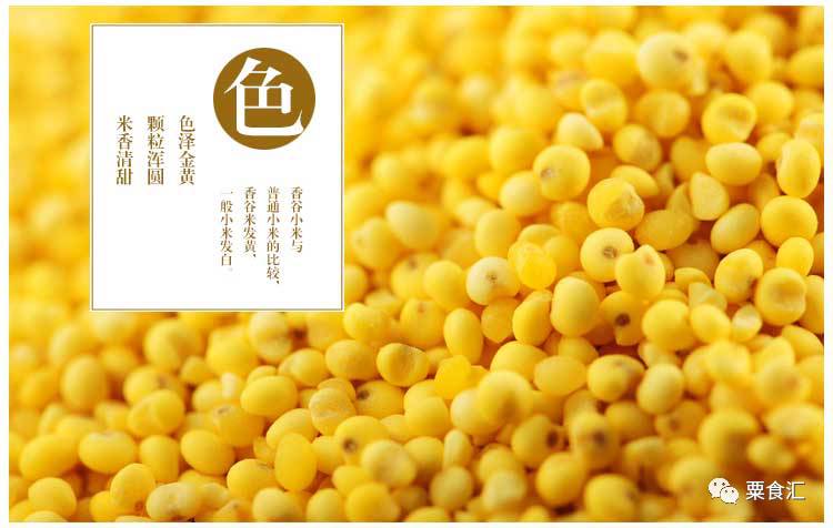 孕妇能吃有机富硒大米吗