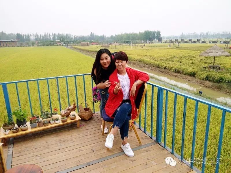 源硒地高富硒大米十斤装