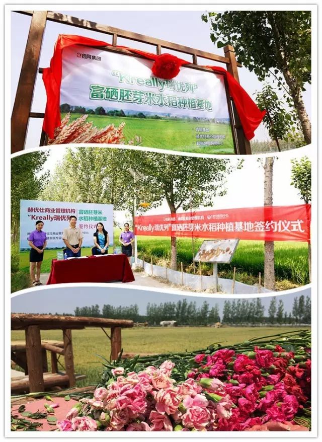 源硒地高富硒大米十斤装