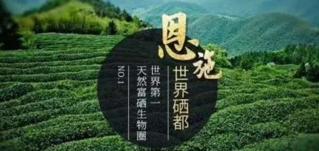 恩施富硒大米产业园规划