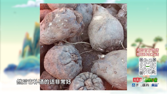 富硒大米主要是哪些地方