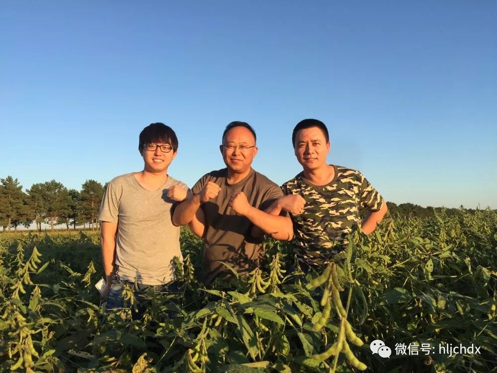 海伦市富硒大米产量多少