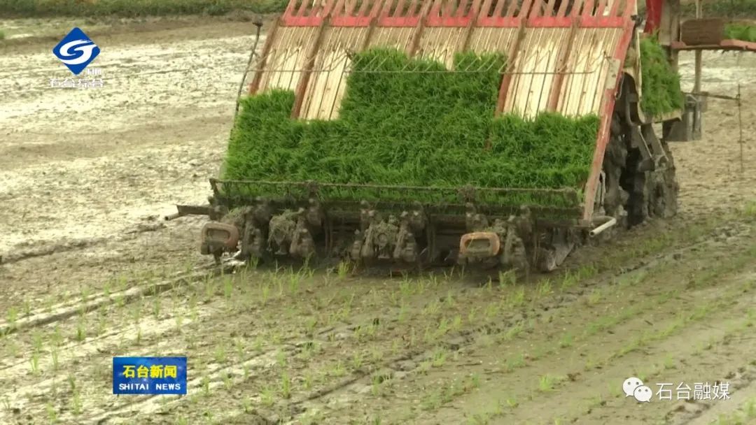哪几个县生产富硒大米呢