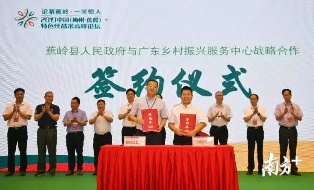 富硒大米和丝苗米哪个好