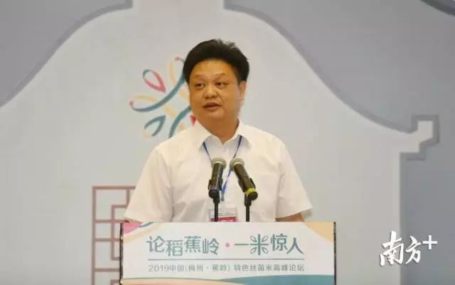 富硒大米和丝苗米哪个好