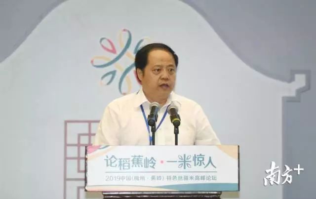 富硒大米和丝苗米哪个好