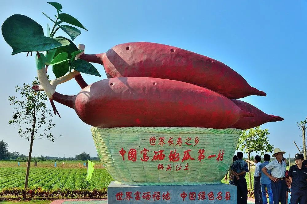 健身能吃富硒地瓜吗早餐