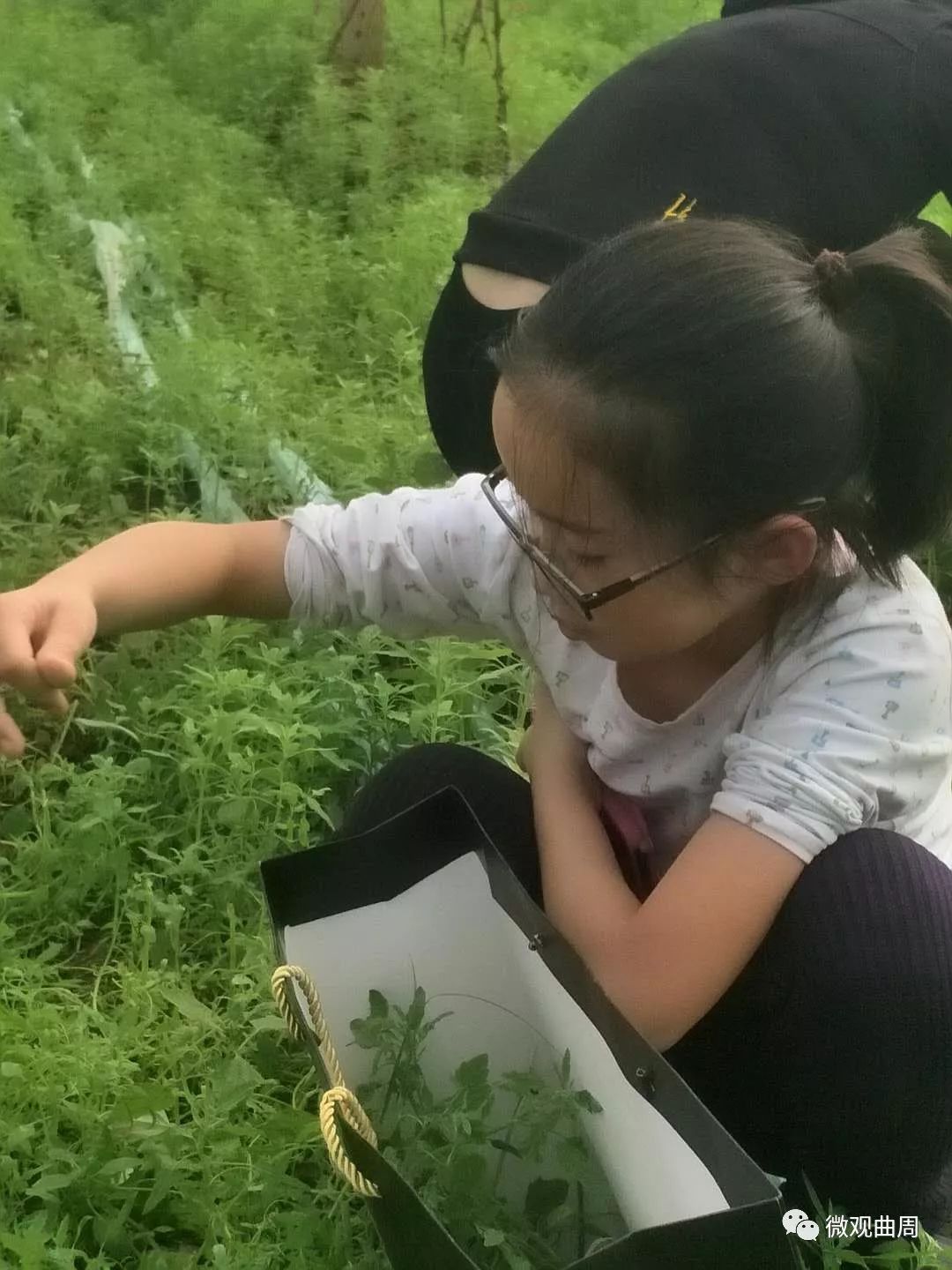 吃富硒面粉的功效与禁忌