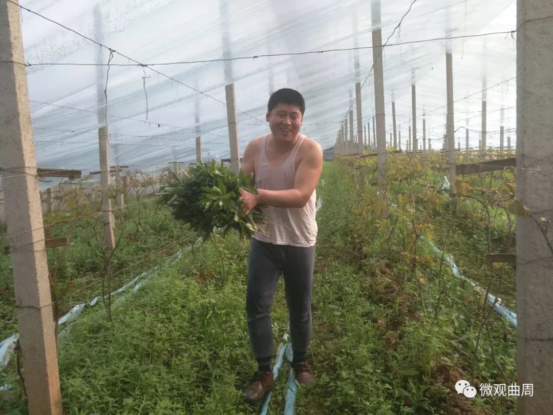 吃富硒面粉的功效与禁忌