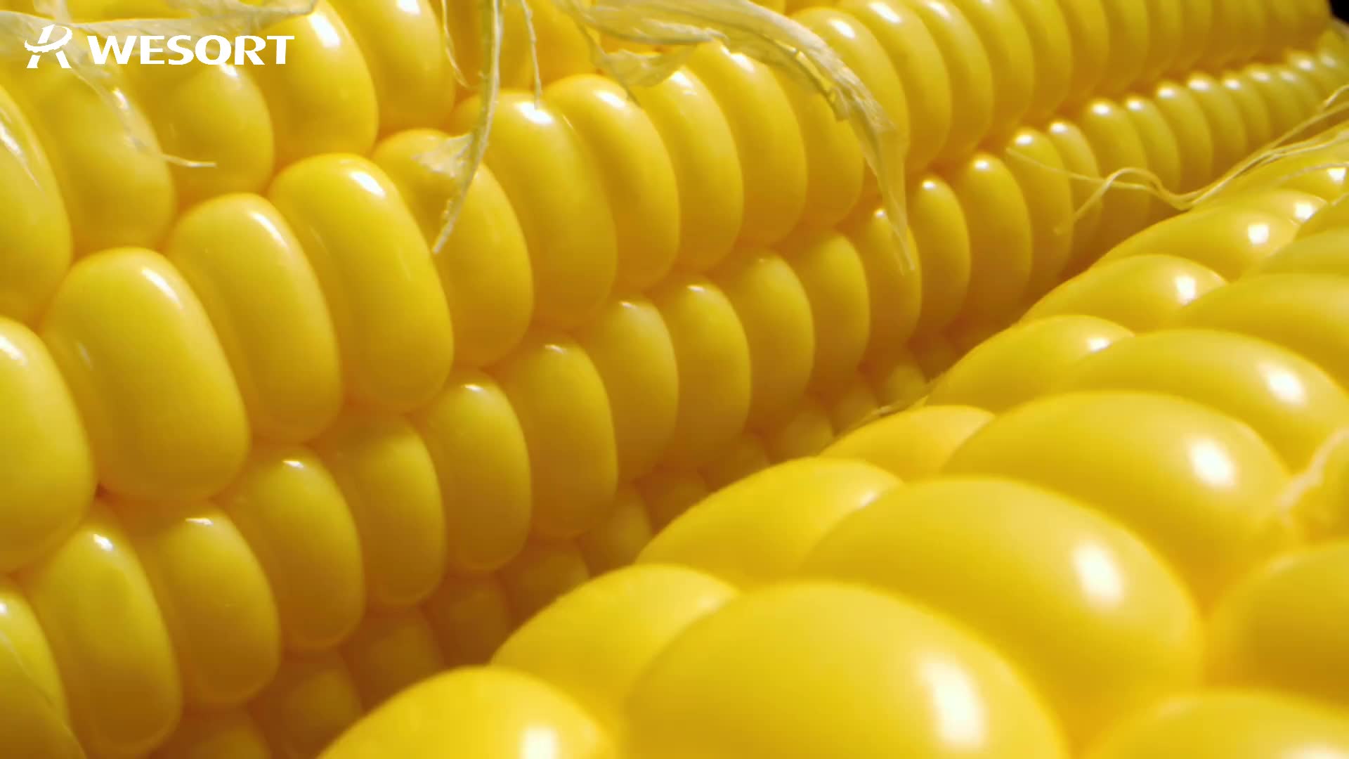 于都县梓山富硒蔬菜微视(于都梓山蔬菜基地门票)-硒宝网