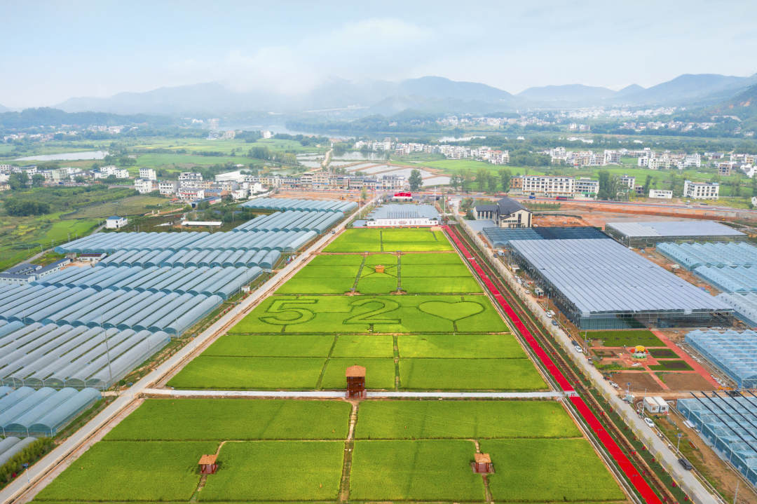 于都县梓山富硒蔬菜特色(于都梓山网红地)-硒宝网