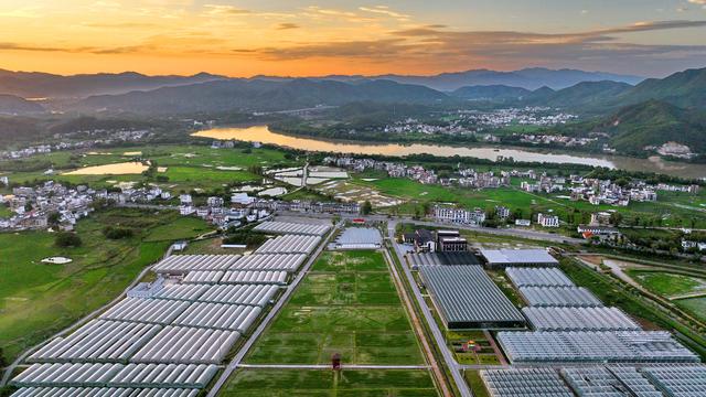 于都县梓山富硒蔬菜特色(于都梓山网红地)-硒宝网