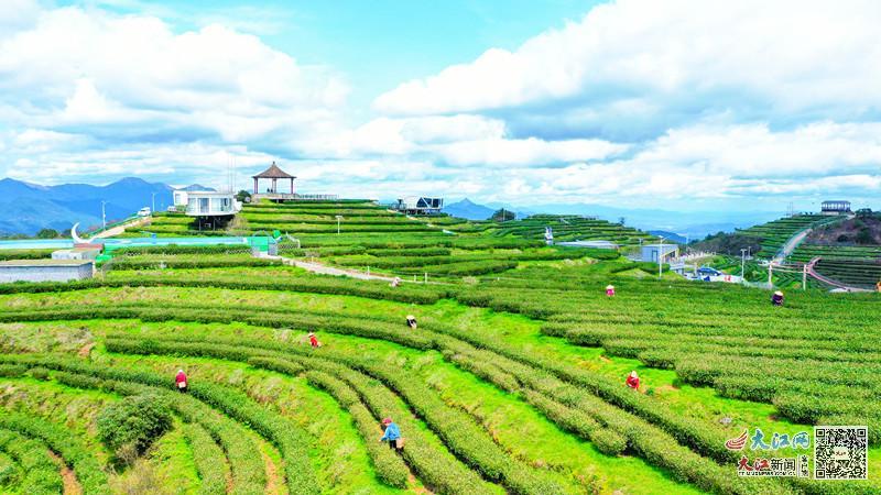 赣州市富硒蔬菜基地地址