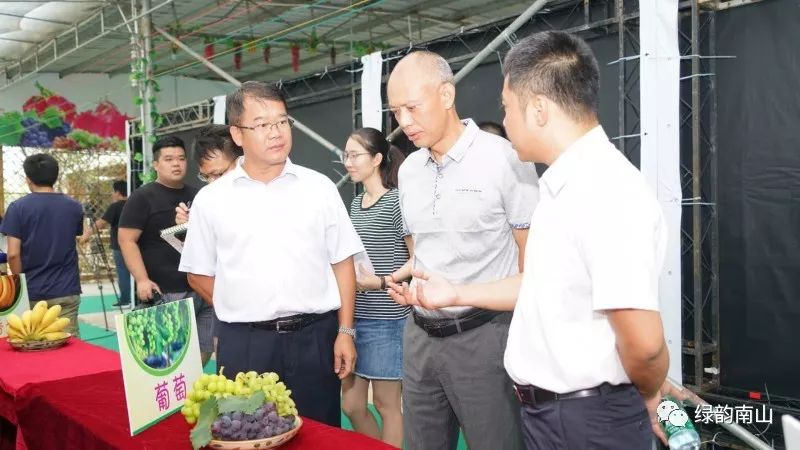 水果富硒含量标准是多少(含量水果标准富硒是什么)-硒宝网